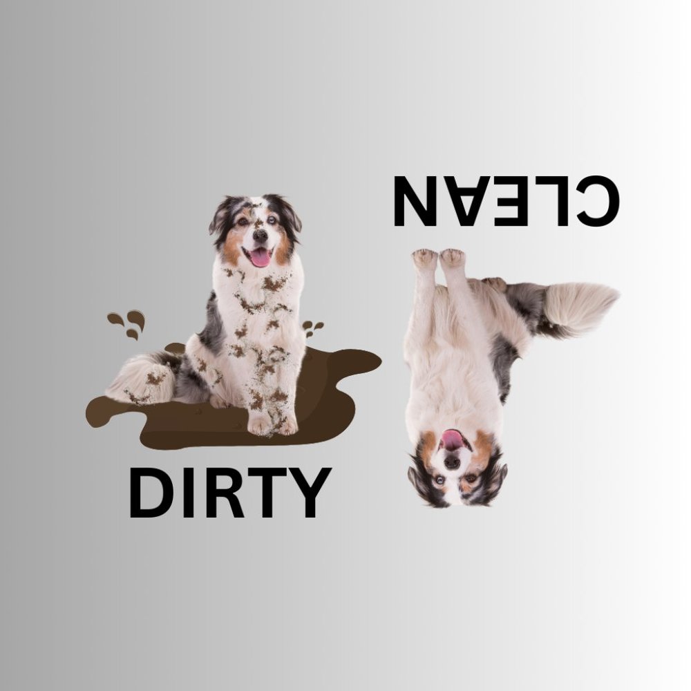 AUSTRALIAN SHEPHERD Clean Dirty Dishwasher Flexible Magnet
